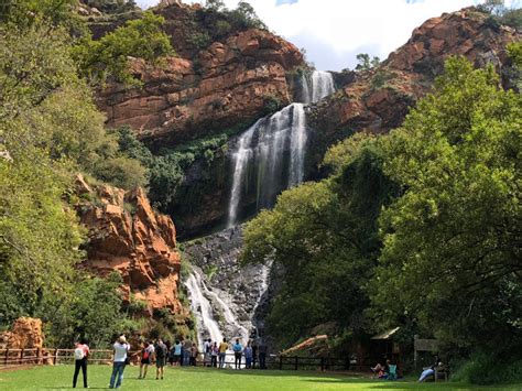  Walter Sisulu National Botanical Garden: โอเอซิสแห่งความเขียวขจีในย่านชานเมืองโจฮันเนสเบิร์ก!